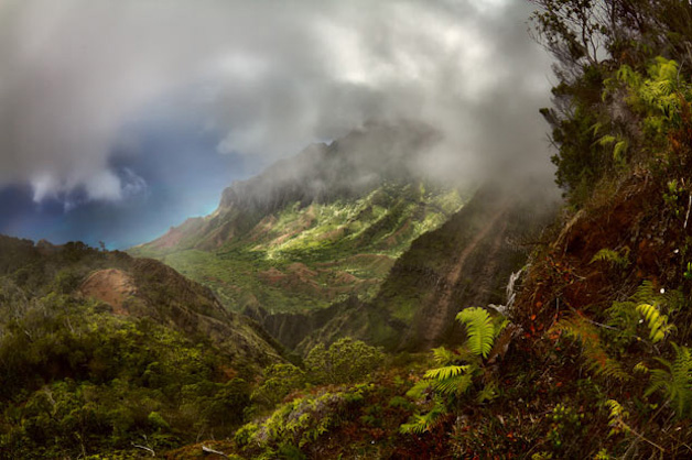 Cabins in Clouds Cabins in Clouds