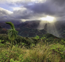 napali coast